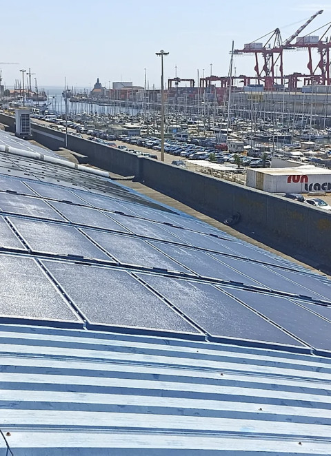 In&eacute;dito: energia solar foi principal fonte de eletricidade em Portugal no m&ecirc;s de julho